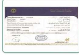 Chamber membership certificate document